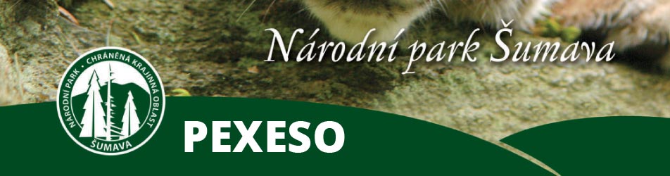 Pexeso