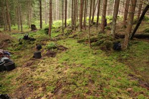Dieser Graben entwässert nun den Wald nicht mehr.
