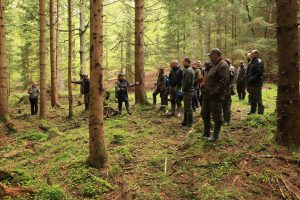 Quellgebiet in einem Wald der Managementzone