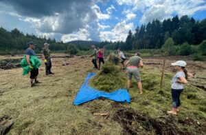 We distributed mulch from peaty meadows on the surface of industrially mined peat bog nearby Vlčí Jámy.