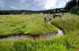 Volunteers distributing rocks in freshly restored stream. Those will improve the sediment regime.