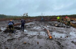 Water retention by building pools at manually mined peat bog.